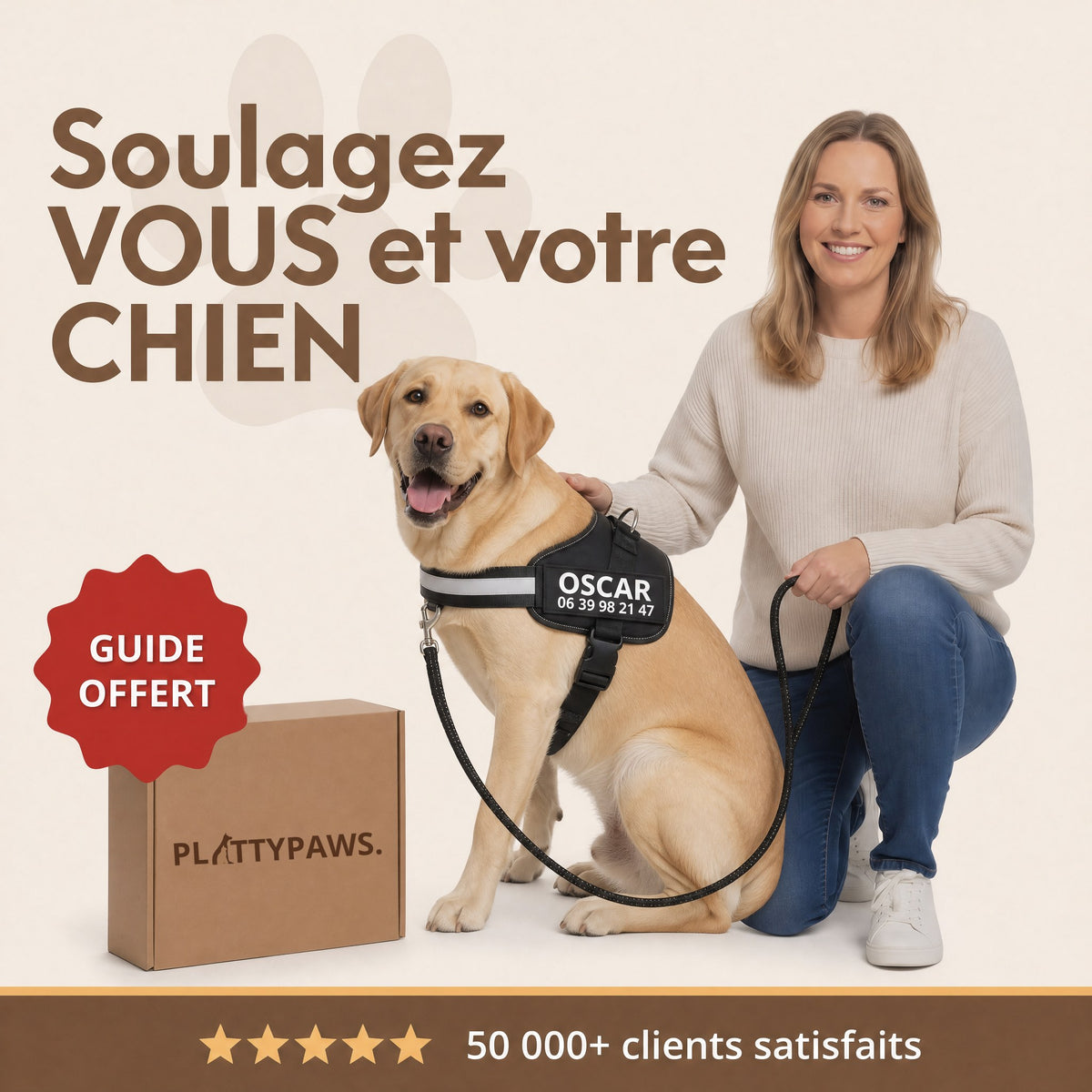 Harnais anti-traction personnalisable PlattyPaws, porté par un labrador, guide offert
