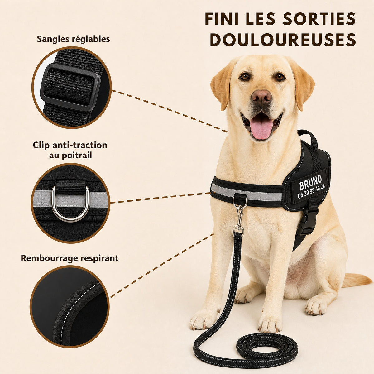 Harnais anti-traction personnalisable PlattyPaws : sangles réglables, clip au poitrail, rembourrage