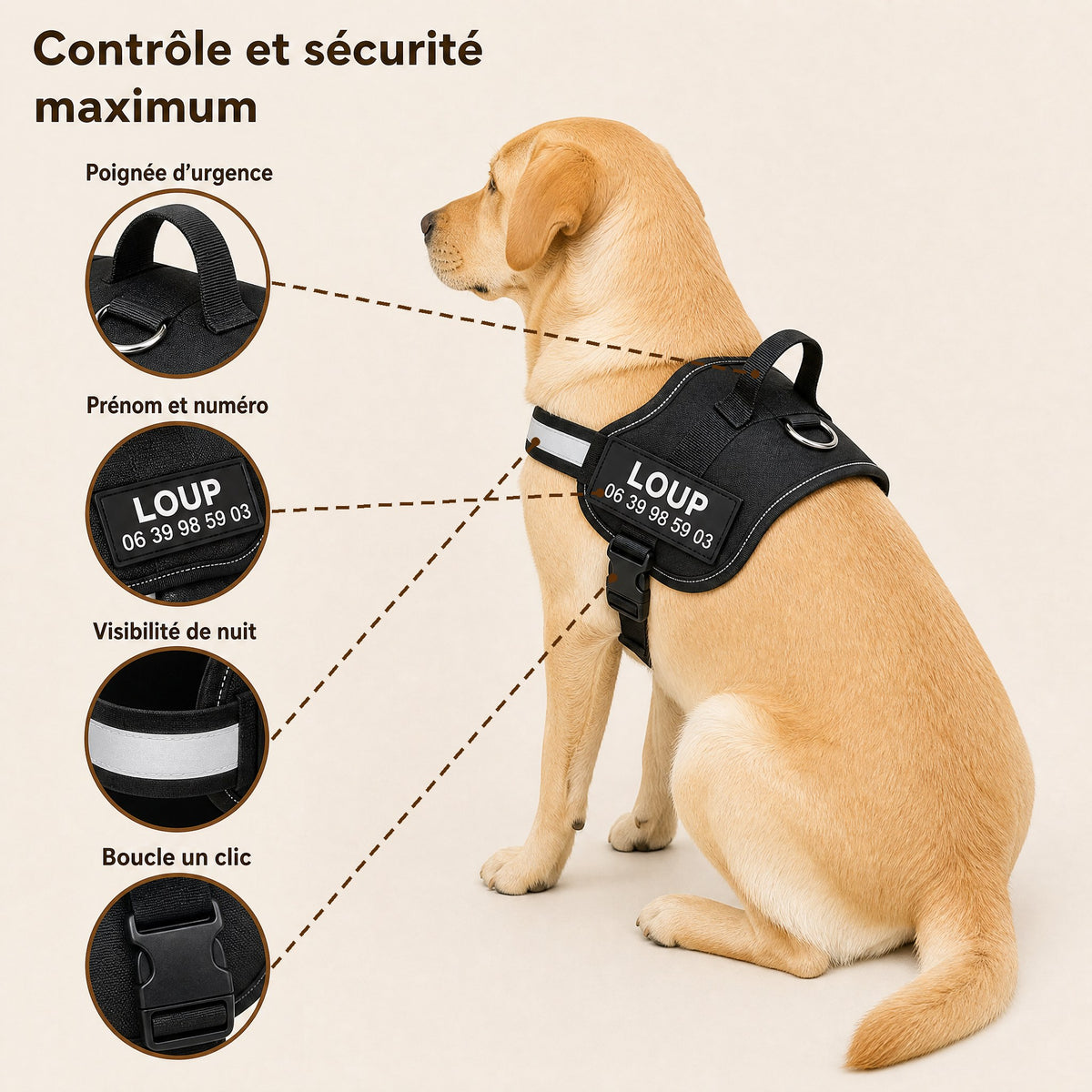 Harnais anti-traction personnalisable PlattyPaws : poignée d'urgence, patch, boucle un clic, bande réfléchissante