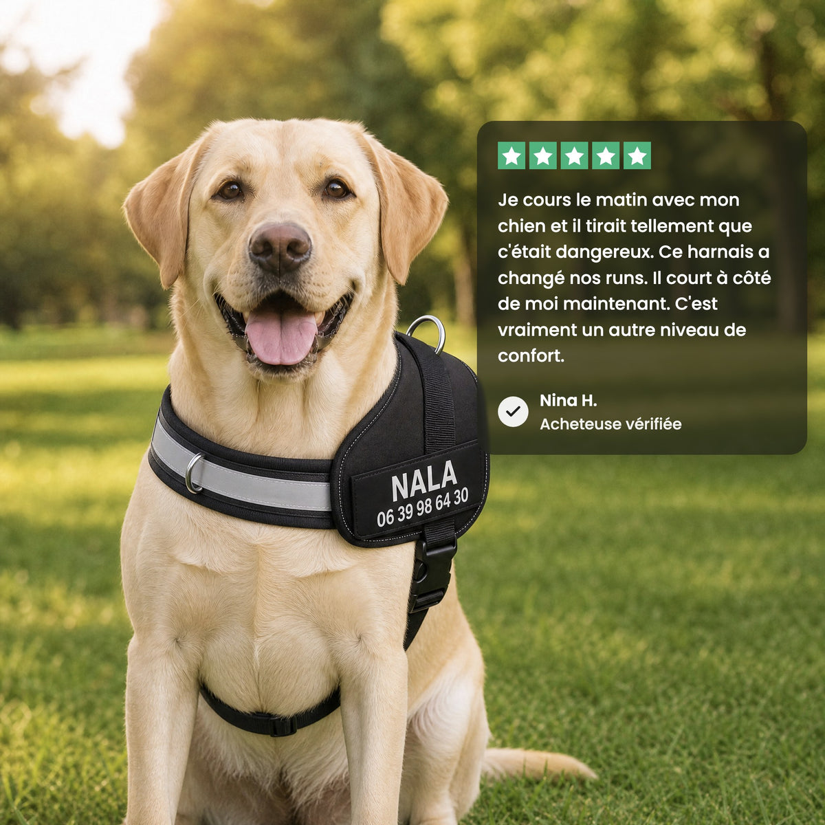 Harnais anti-traction personnalisable PlattyPaws, avis d'une cliente