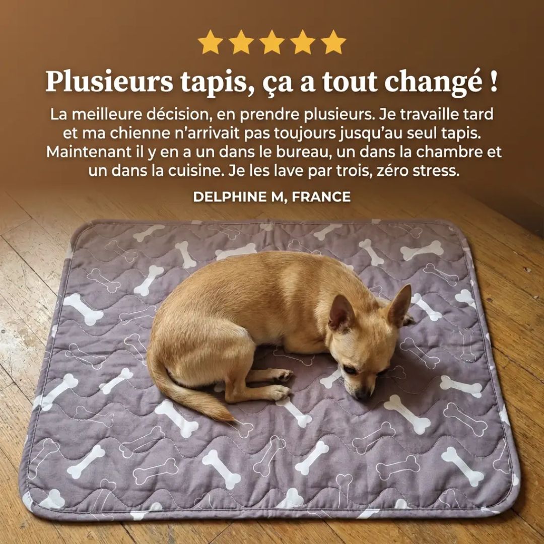 Tapis Hygiénique pour Chien