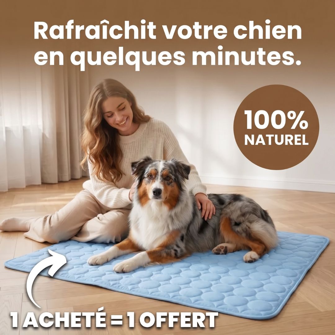 Tapis de refroidissement Plattypaws