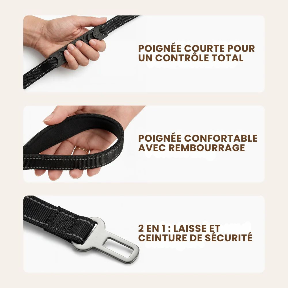Laisse élastique 1m40 pour chien