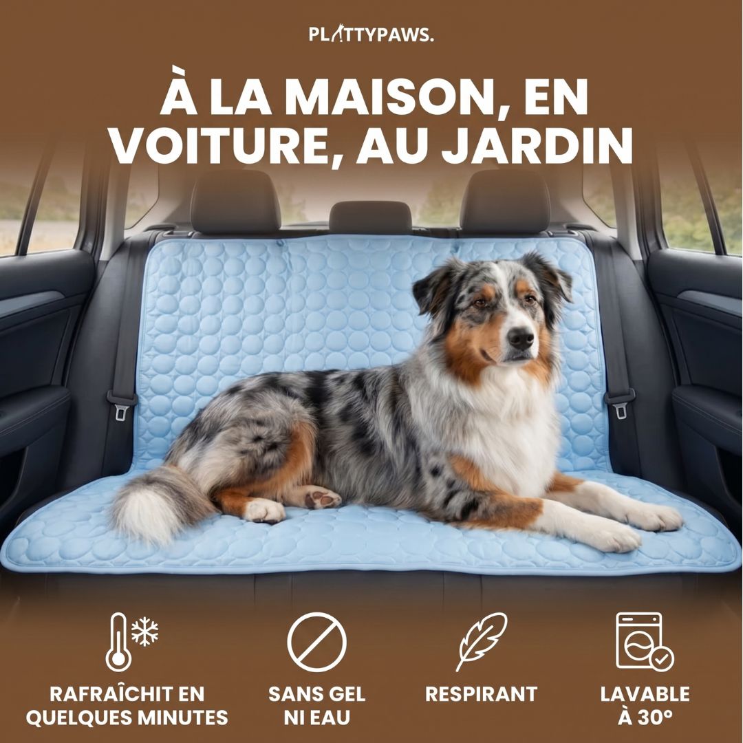 Tapis de refroidissement Plattypaws