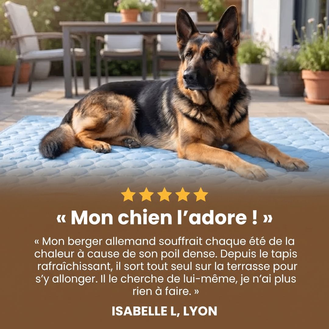Tapis de refroidissement Plattypaws