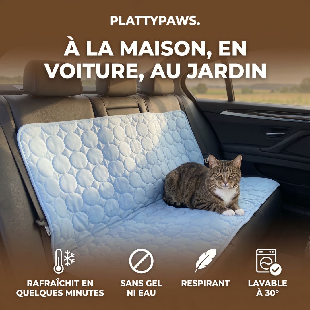 Tapis de refroidissement pour chat Plattypaws