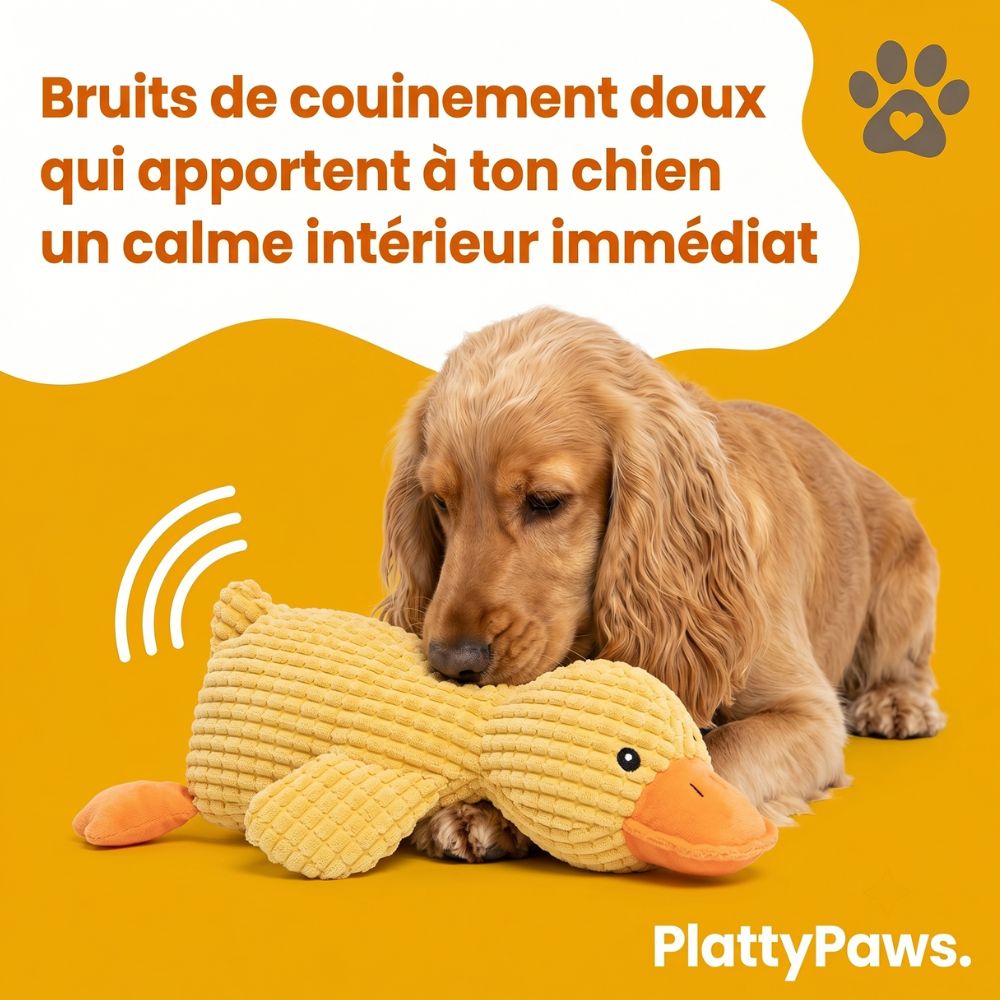 Canard anti-stress