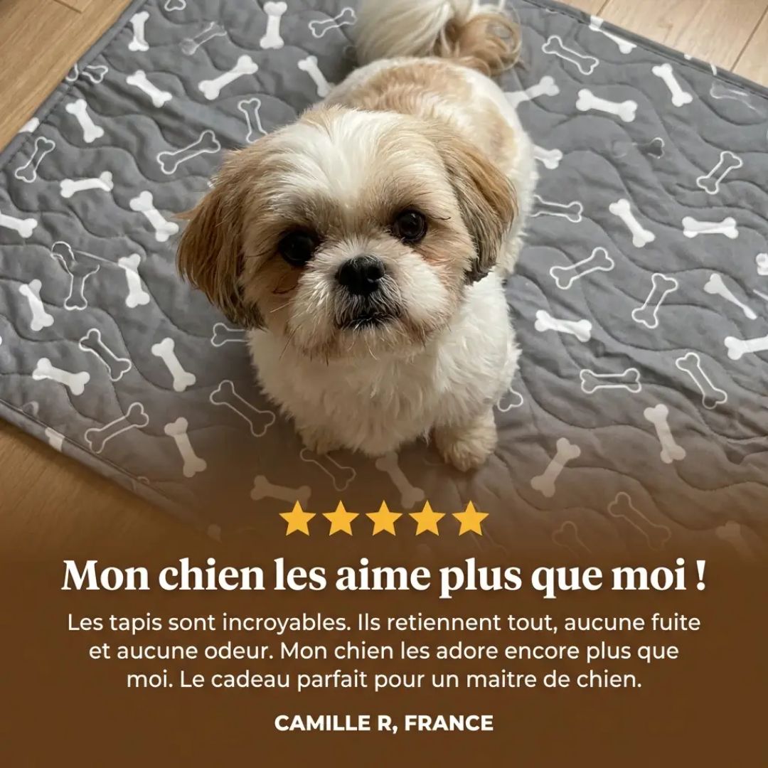 Tapis Hygiénique pour Chien