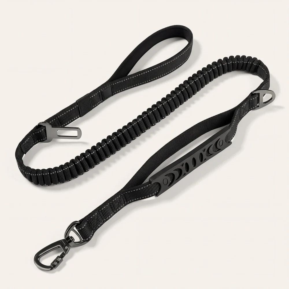 Laisse élastique 1m40 pour chien