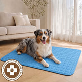 Chien sur le tapis