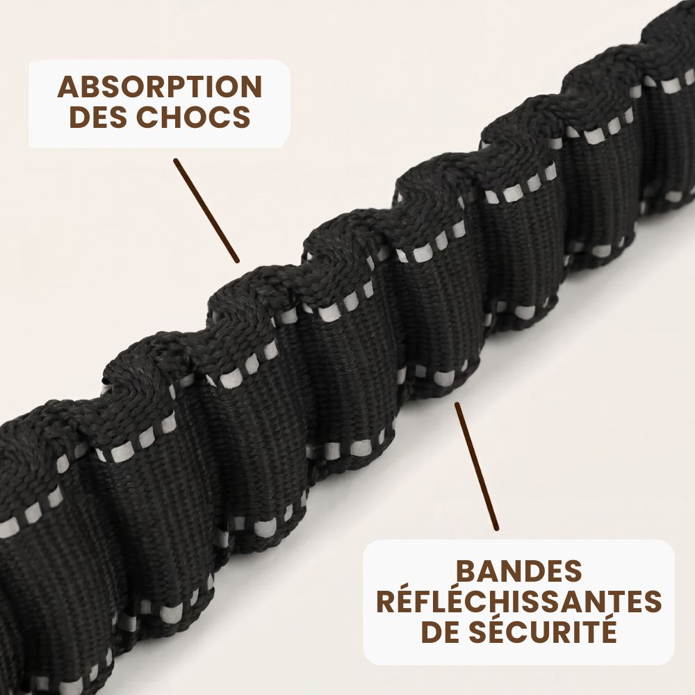 Laisse élastique 1m40 pour chien