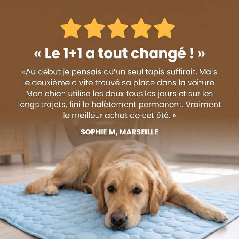 Résistant aux griffes — dure plusieurs étés