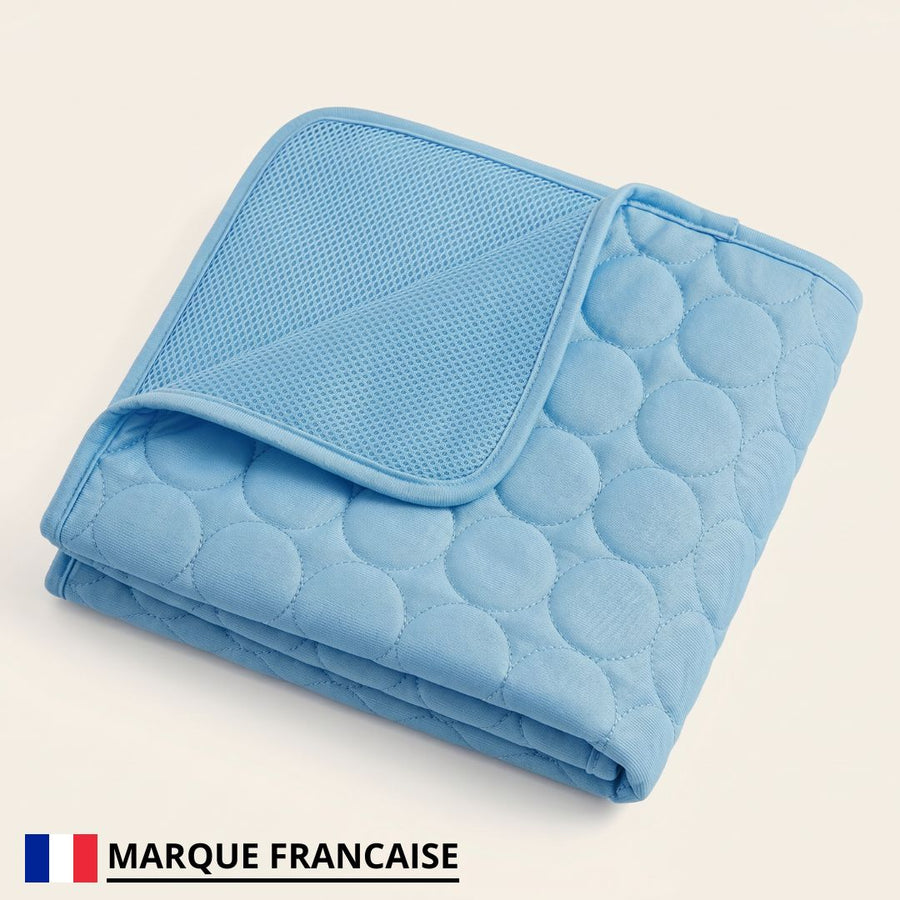 FraîchPatte® – Tapis Rafraîchissant pour Chien