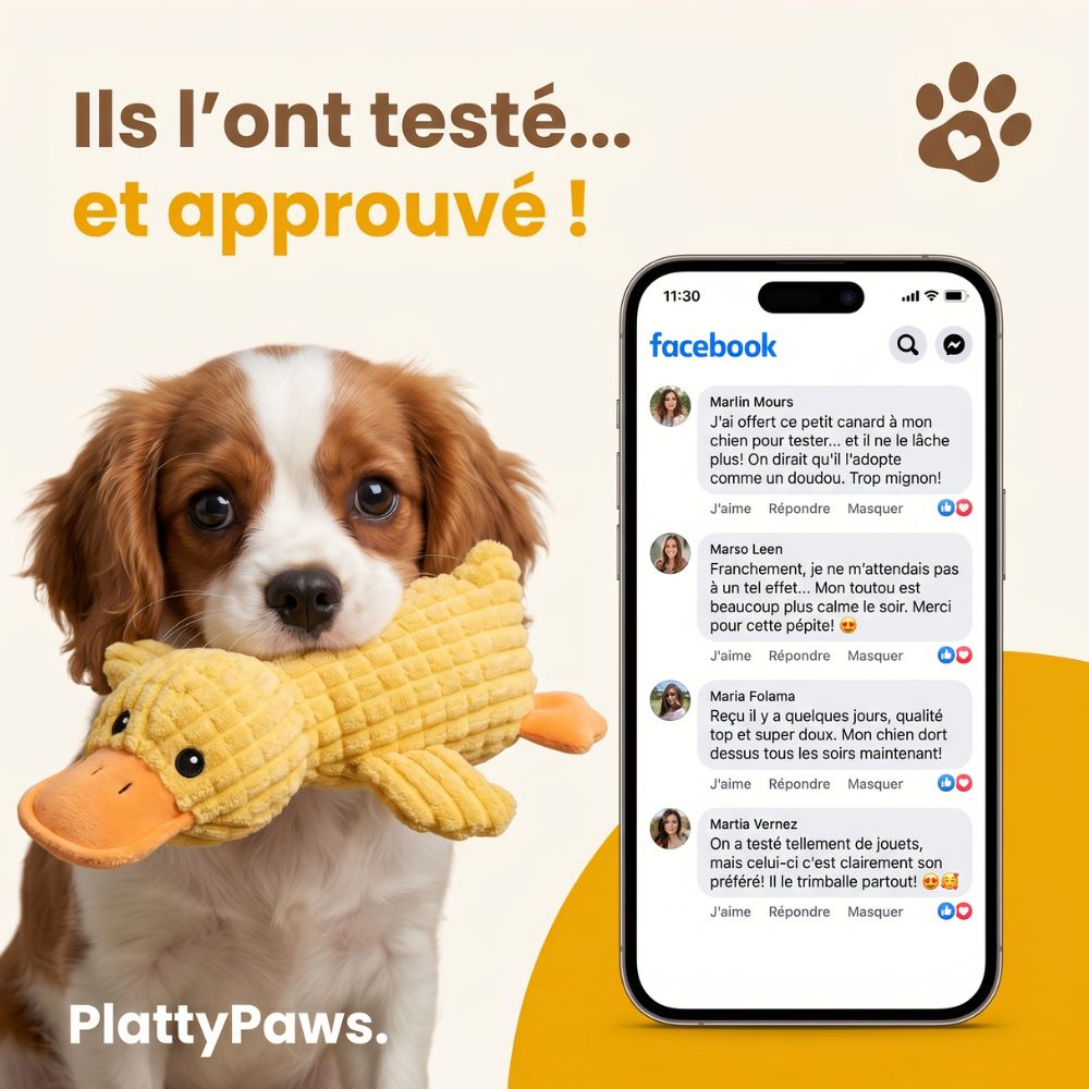 Canard anti-stress