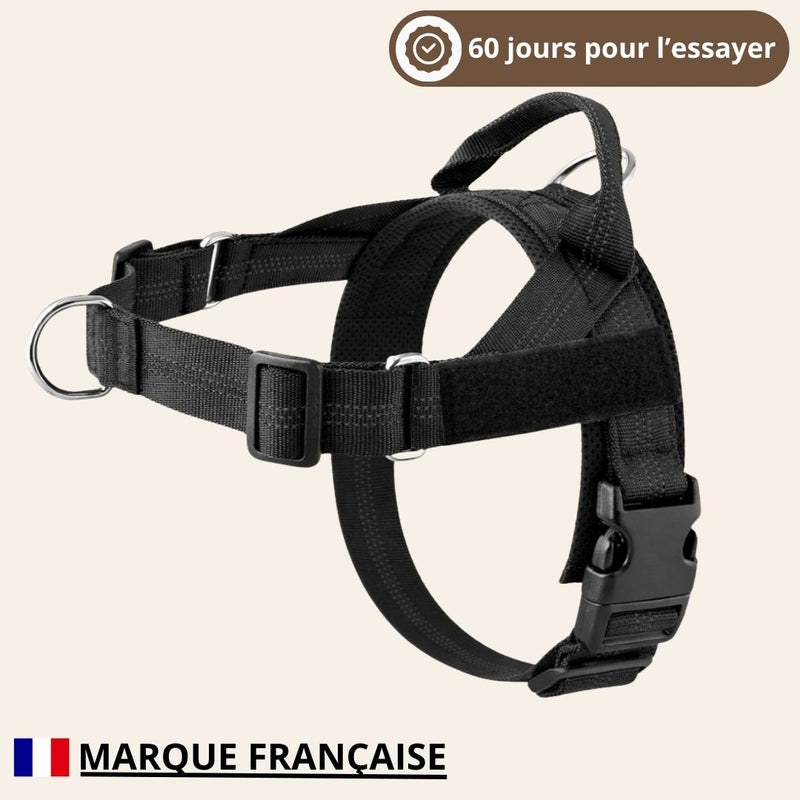 HARNAIS ANTI-TRACTION EN T