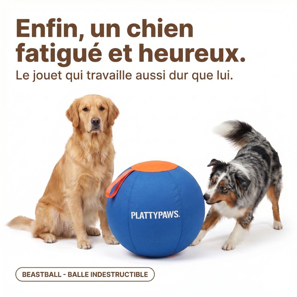 BeastBall - La balle que ton chien ne peut pas crever