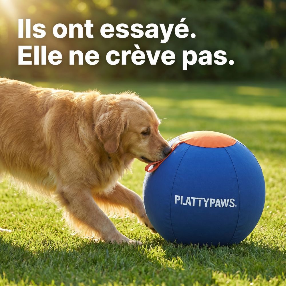 BeastBall - La balle que ton chien ne peut pas crever