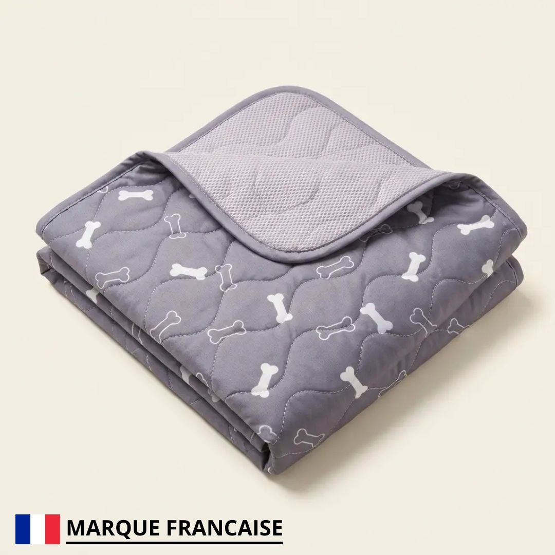 Tapis Hygiénique pour Chien
