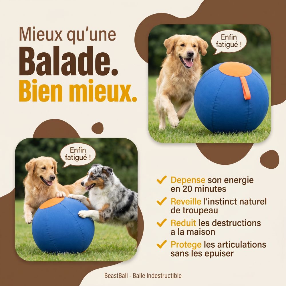 BeastBall - La balle que ton chien ne peut pas crever