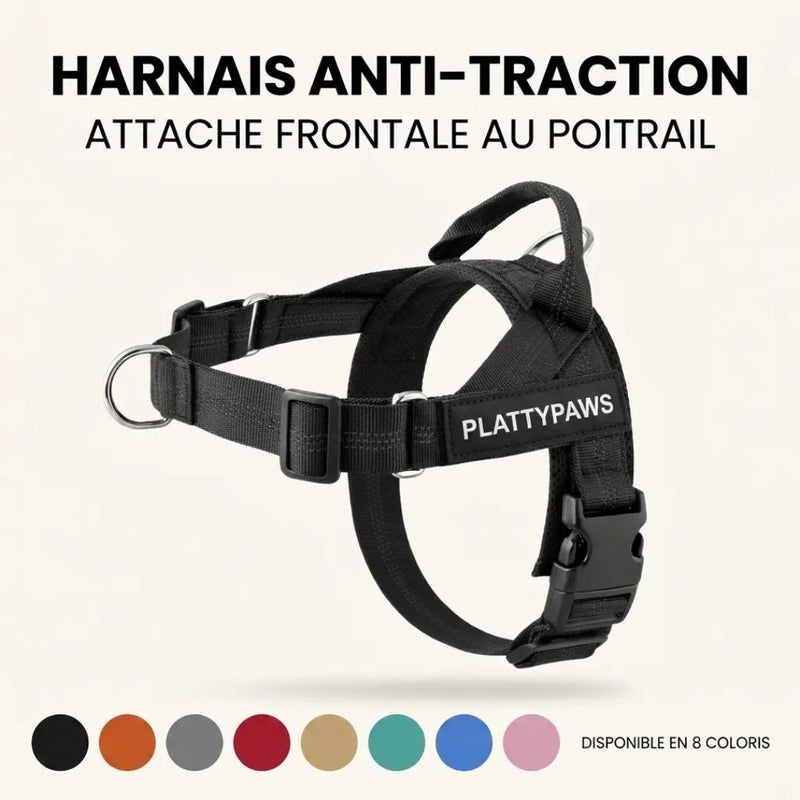 HARNAIS ANTI-TRACTION EN T