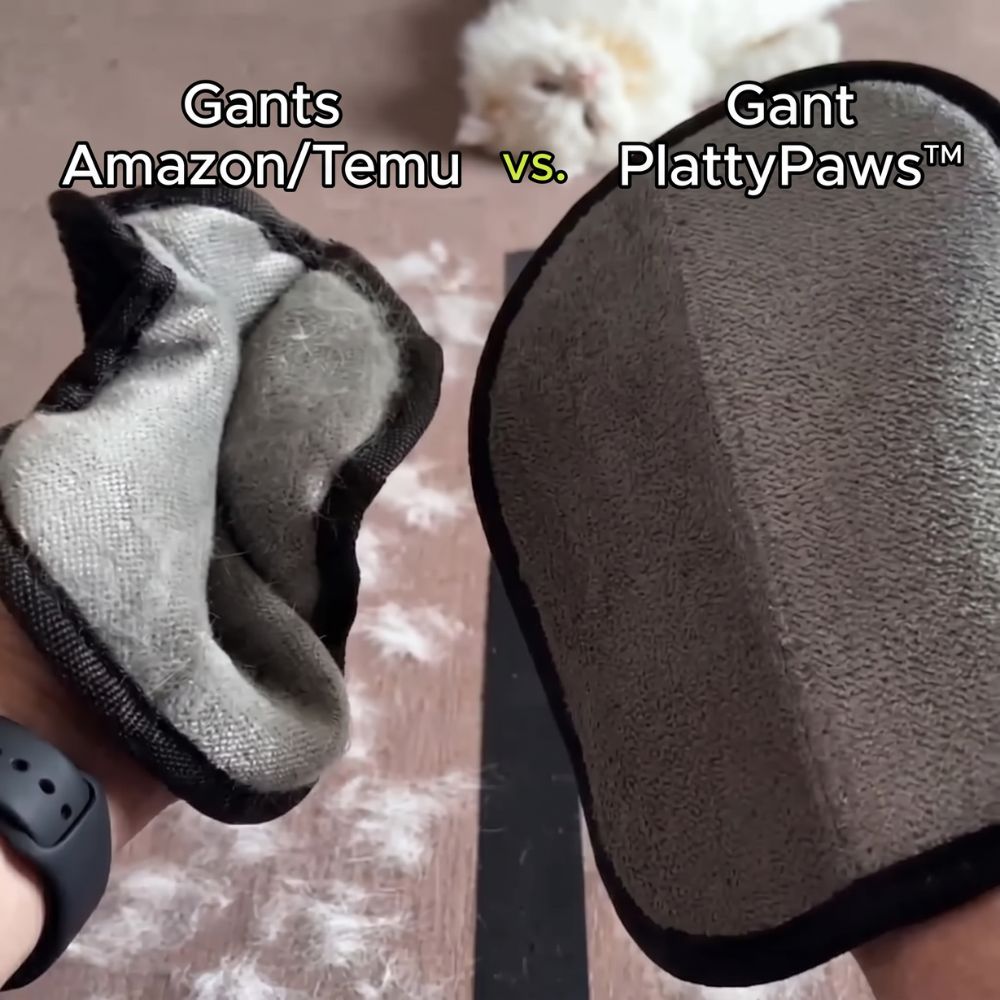 5. Pourquoi pas un gant à 8€ sur Amazon ou Temu ?