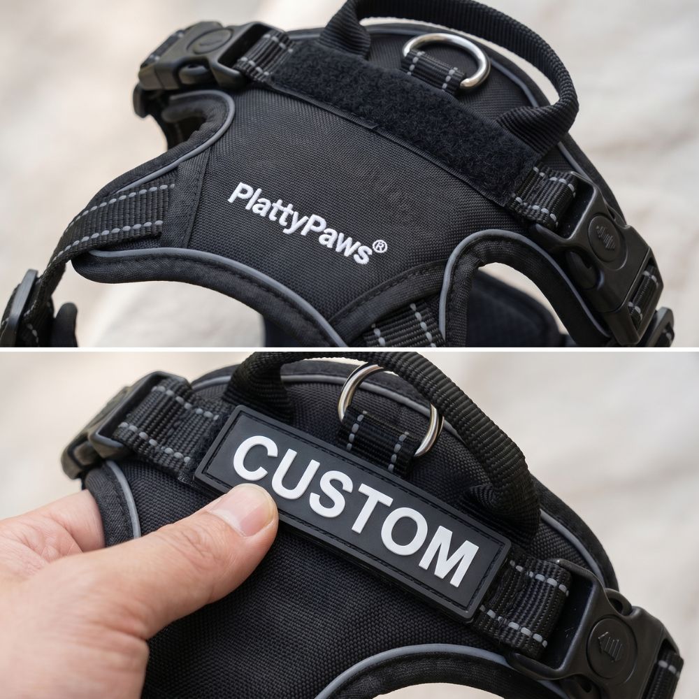 HARNAIS ANTI-TRACTION PLATTYPAWS