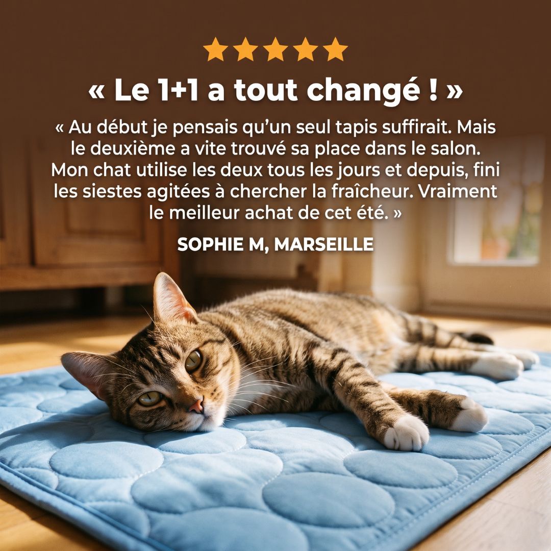 Tapis de refroidissement pour chat Plattypaws