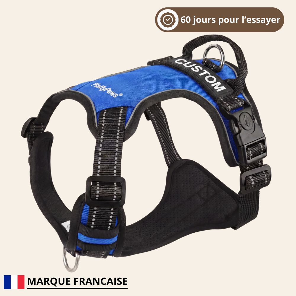 HARNAIS ANTI-TRACTION PLATTYPAWS
