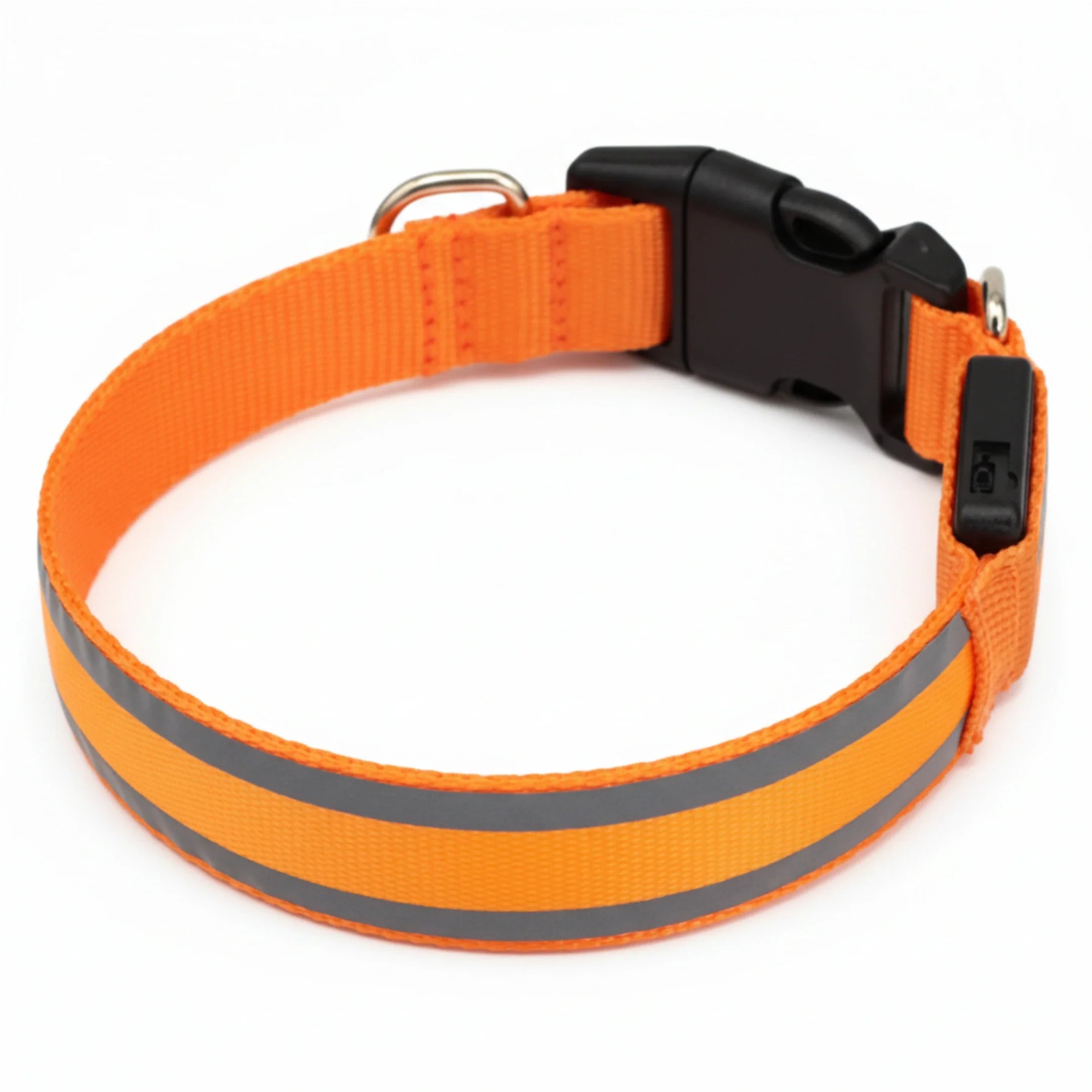 Collier lumineux PlattyPaws