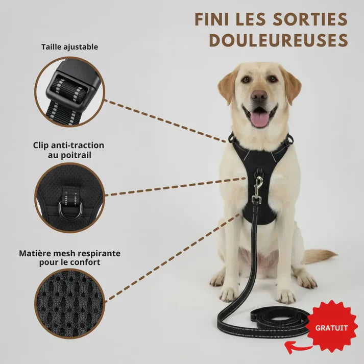 HARNAIS ANTI-TRACTION PLATTYPAWS