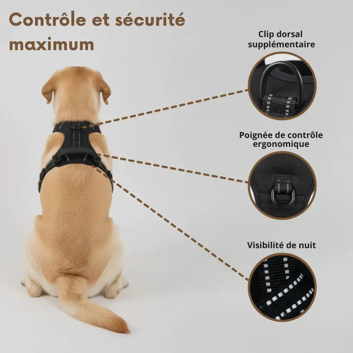 HARNAIS ANTI-TRACTION PLATTYPAWS