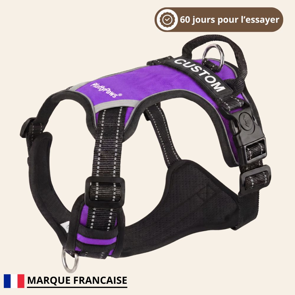 HARNAIS ANTI-TRACTION PLATTYPAWS
